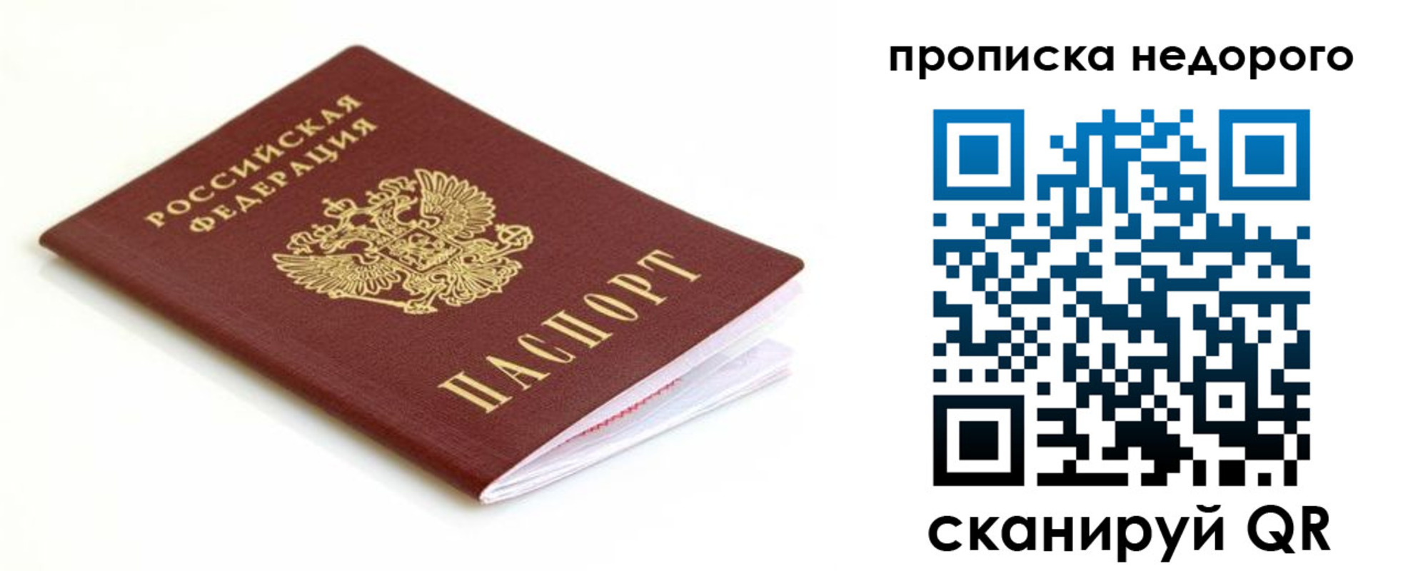 миграционный учет в Светлогорске
