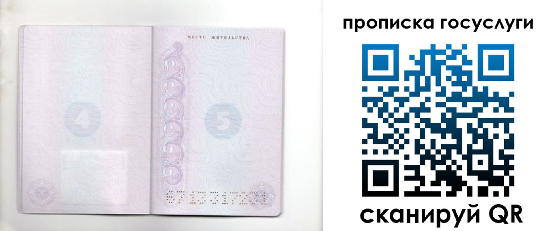 временная регистрация для всех в Светлогорске